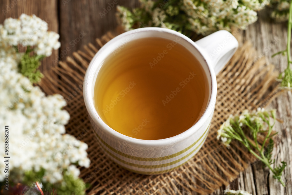 Herbal tea in a white striped ceramic cup with blooming yarrow or Achillea millefolium plant Herbal tea in a white striped ceramic cup with blooming yarrow or Achillea millefolium plant