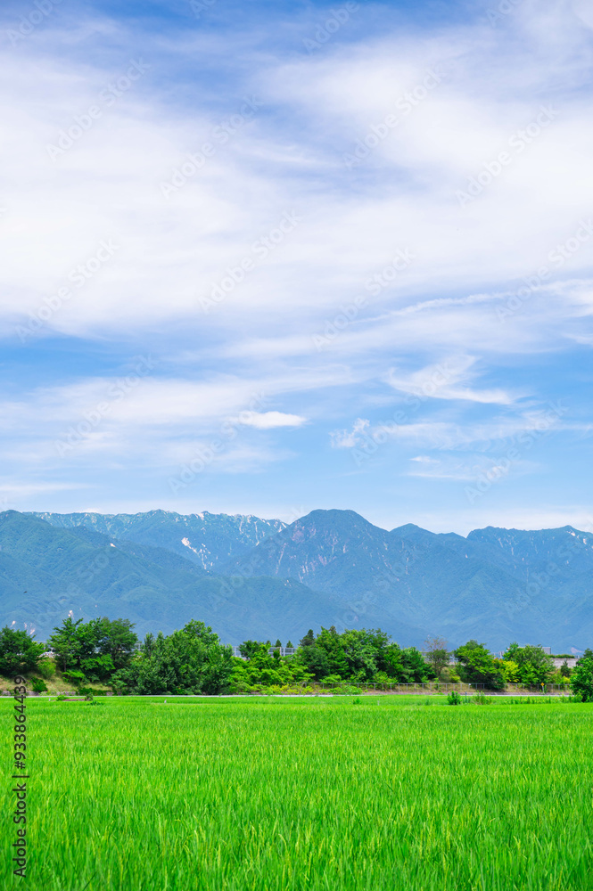 夏の田園風景と北アルプス 安曇野 夏の田園風景と北アルプス 安曇野