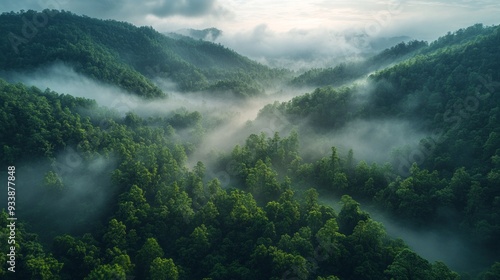 Lush green mountains rise majestically, shrouded in a soft mist, as morning light filters through the clouds, revealing nature's tranquil beauty photo