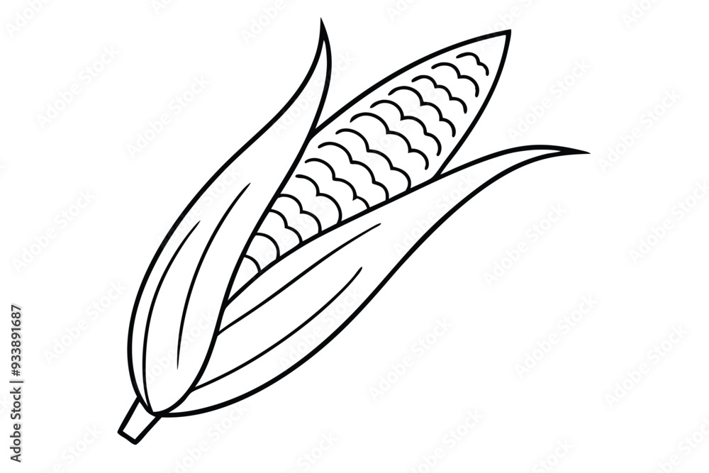 A Corn line art vector illustration A Corn line art vector illustration