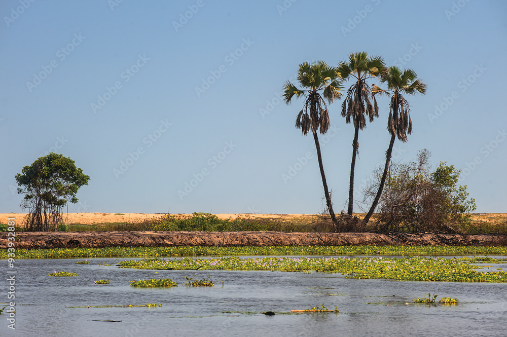Longa river in the mountains Angola Africa Longa river in the mountains Angola Africa