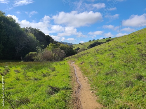 Photography Hiking along the Shady Creek trail after winter rains in Pleasanton Ridge Park,