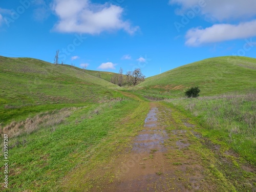 Hiking along the Shady Creek trail after winter rains in Pleasanton Ridge Park, East Bay hills in Northern California photo