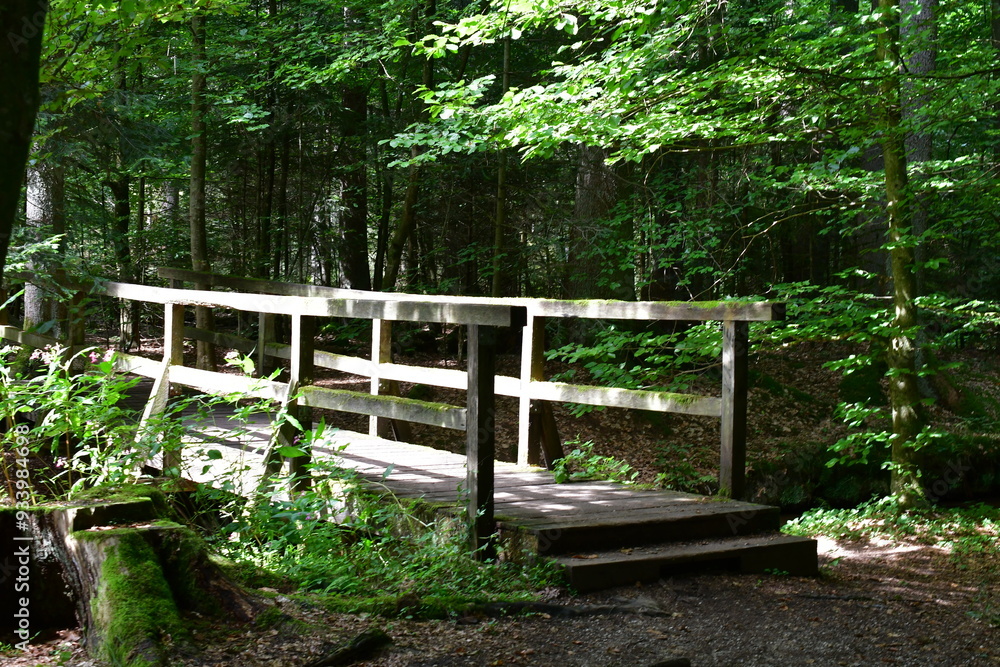 Eine Brücke im Wald in Franken
