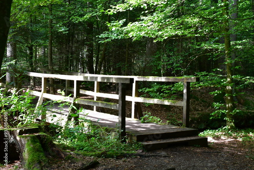 Obraz na płótnie Eine Brücke im Wald in Franken w salonie
