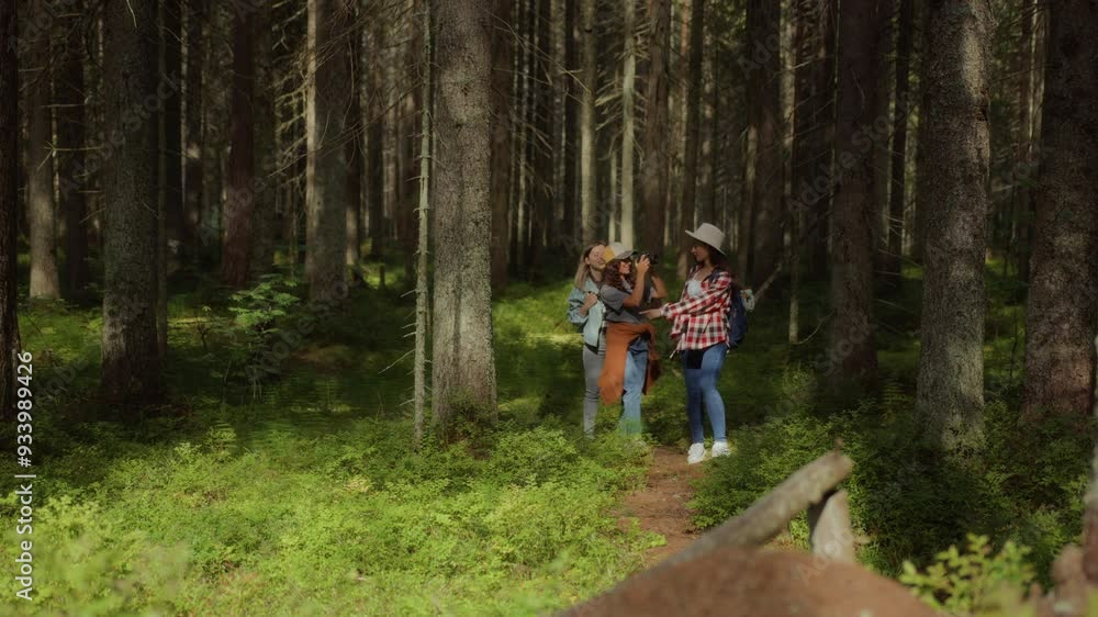 three cheerful girlfriends enjoy vacations in forest, walking on pathway among tall green trees, looking up and around. women feel joy of spending time together and admiring nature, smiling three cheerful girlfriends enjoy vacations in forest, walking on pathway among tall green trees, looking up and around. women feel joy of spending time together and admiring nature, smiling