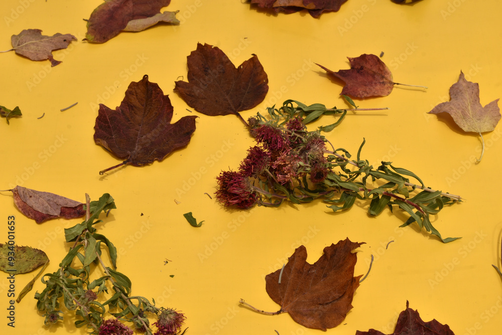 Naklejka premium The background image was created by fallen dry leaves on the surface of a yellow table.
