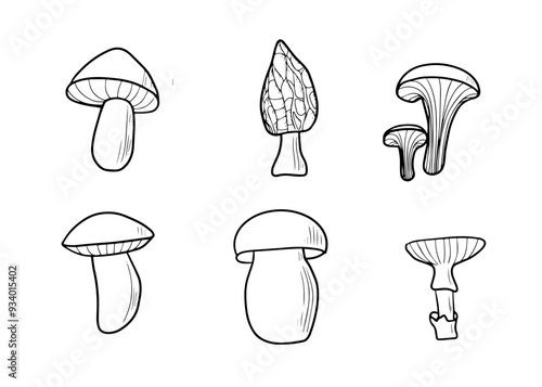 Set of line mushrooms isolated, doodle style, hand drawn