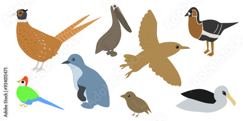 Set of  birds. Vector cartoon illustration in childish style. Different birds. Images are isolated on white. 