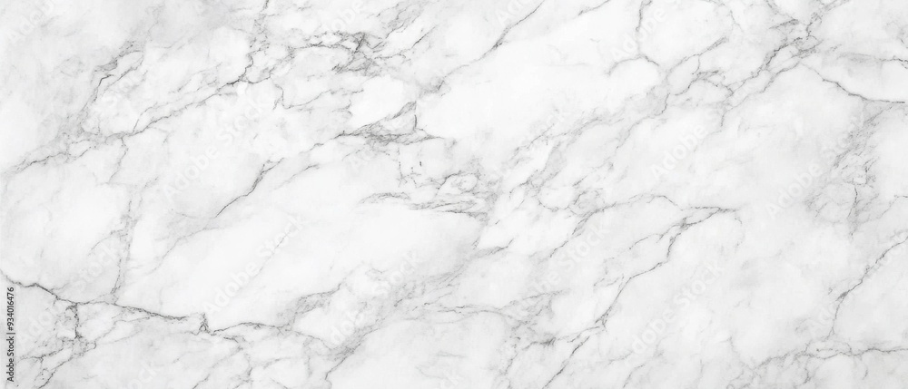 White Marble Texture White Marble Texture