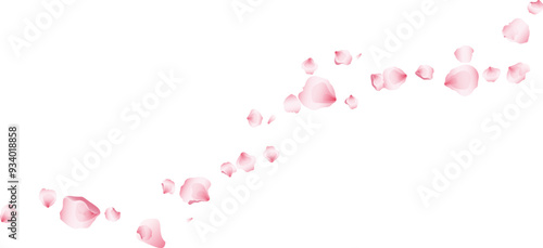 Wave flying rose petals transparent background. Beautiful floral overlay with lots of rose petals.