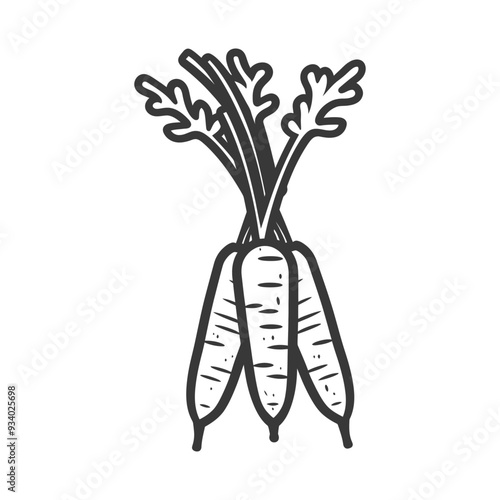 A hand drawn illustration of three carrots with green leaves