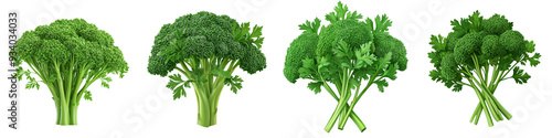 Close-up of four fresh broccoli bunches with vibrant green florets and stems, isolated on a white background. photo