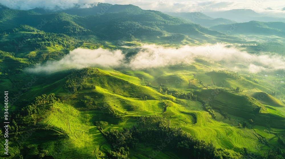 Aerial view of Phu Thap Boek's rolling hills covered in mist, with lush green terraced fields stretching across the landscape. Aerial view of Phu Thap Boek's rolling hills covered in mist, with lush green terraced fields stretching across the landscape.