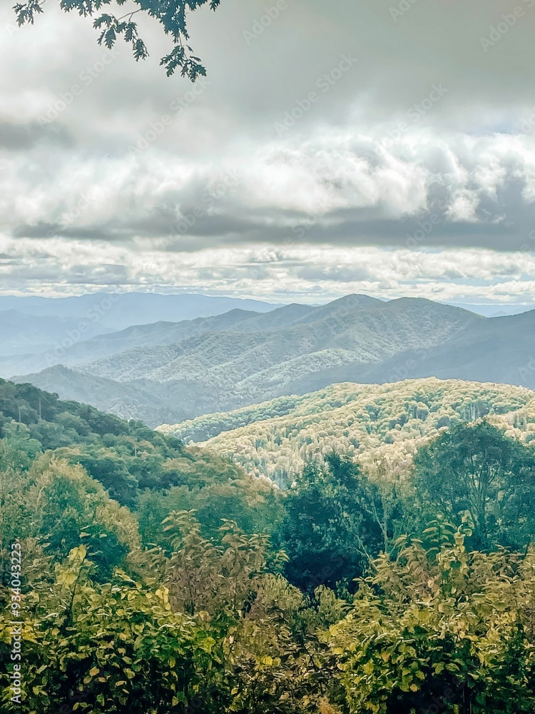 Obraz premium landscape with clouds