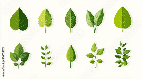 set of green leaves vectors on white 