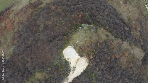 lichen on a rock