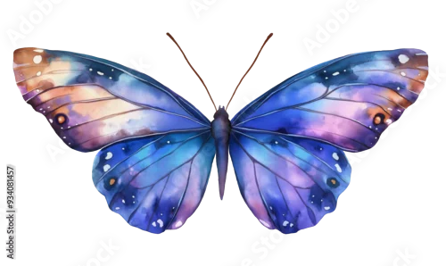 Fototapeta na wymiar watercooler butterfly isolated on white background, butterfly illustration 