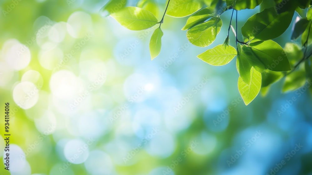 Green and blue sky with light bokeh effect Green and blue sky with light bokeh effect