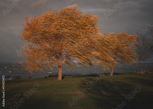 Lake Balaton on a windy day...