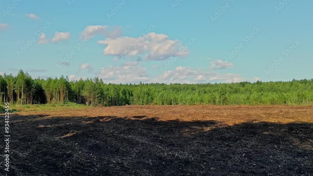 Deforested landscape panorama summer day Deforested landscape panorama summer day