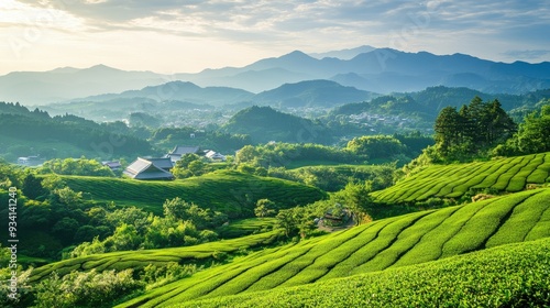 Top view of Japan's picturesque countryside with rolling green hills, traditional tea plantations, and distant mountains.