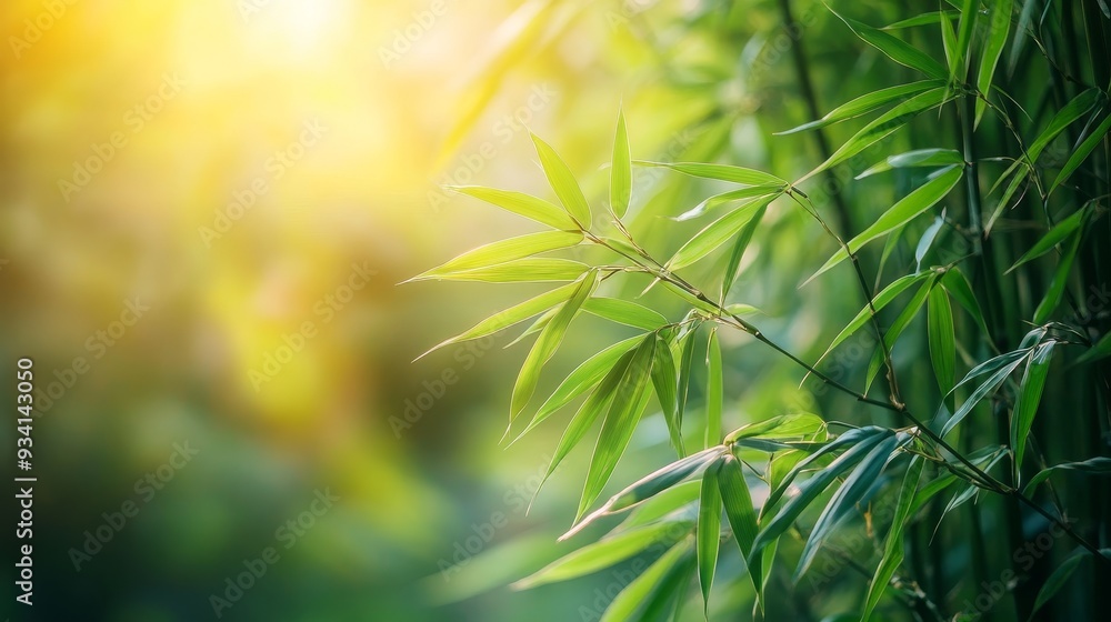 Obraz premium Sunlit Bamboo Leaves in a Lush Forest - A close-up of vibrant green bamboo leaves bathed in warm sunlight, symbolizing tranquility, growth, resilience, nature's beauty, and serenity.