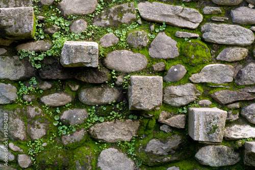 Pared de piedra antigua cubierta de musgo y plantas: texturas naturales en arquitectura