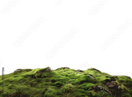 [Transparent Background PNG]Green Mossy Landscape on White Background