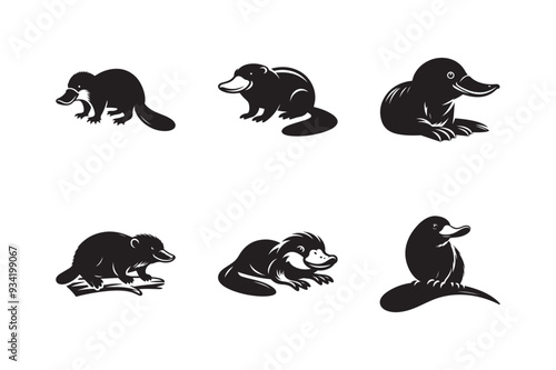 Platypus sets icon silhouette ,silhouette and icon of a platypus isolated on white background.
