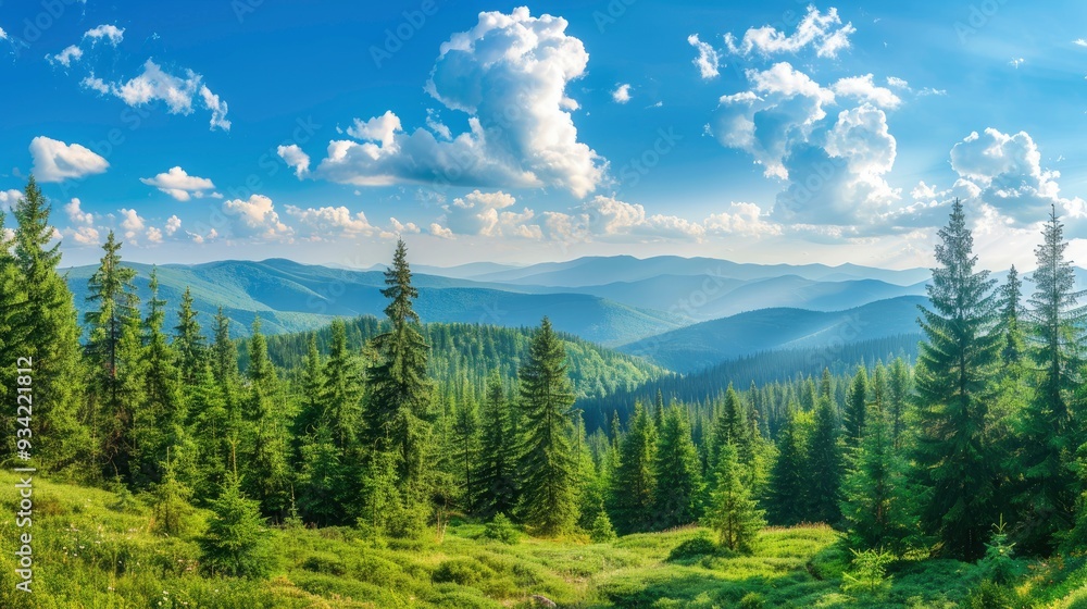 Magnificent panoramic view the coniferous forest on the mighty Carpathians Mountains and beautiful blue sky background. Beauty of wild virgin Ukrainian nature. Peacefulness , ai Magnificent panoramic view the coniferous forest on the mighty Carpathians Mountains and beautiful blue sky background. Beauty of wild virgin Ukrainian nature. Peacefulness , ai