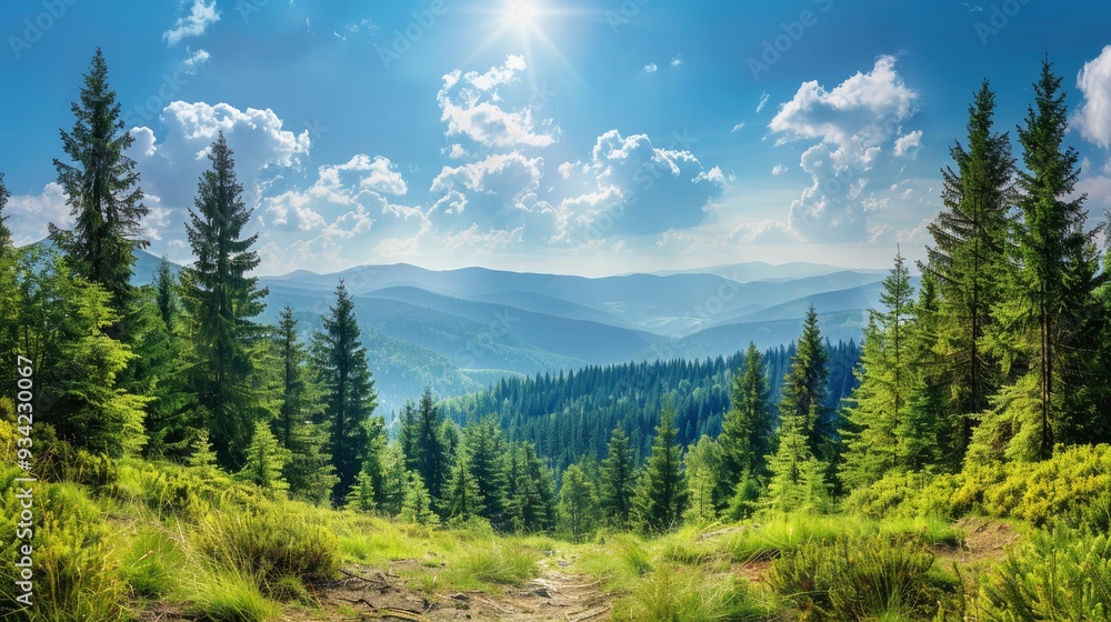 Obraz premium Magnificent panoramic view the coniferous forest on the mighty Carpathians Mountains and beautiful blue sky background. Beauty of wild virgin Ukrainian nature. Peacefulness , ai