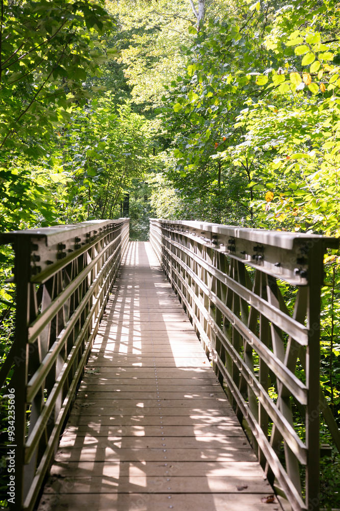 Wooden bridge in forest near Cleveland Ohio Wooden bridge in forest near Cleveland Ohio