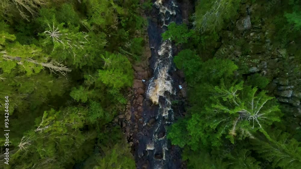 Big River In The Forest Bird's Eye View 4K Areal Big River In The Forest Bird's Eye View 4K Areal