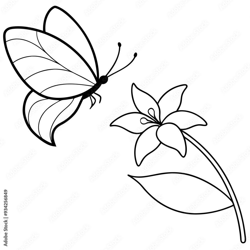 A butterfly is extracting nectar from a Stephanotis flowerd A butterfly is extracting nectar from a Stephanotis flowerd