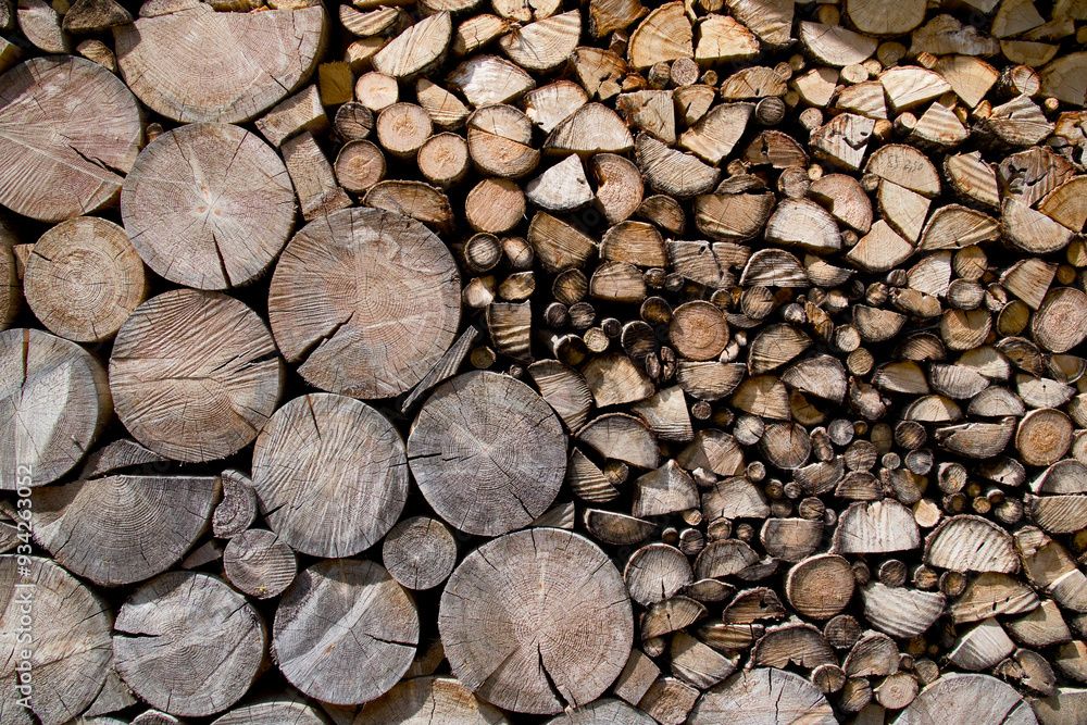 Holzlager mit vielen Holzarten und Formen Holzlager mit vielen Holzarten und Formen
