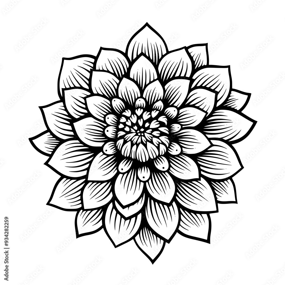 Flower Vector Flower Vector