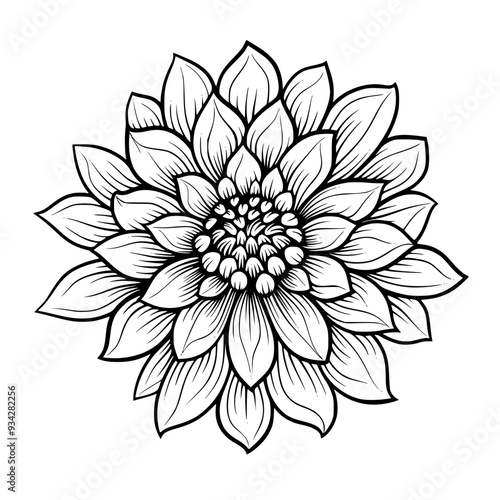 Flower Vector