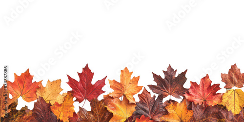 Feuilles d'Automne en Bas, Espace pour Texte