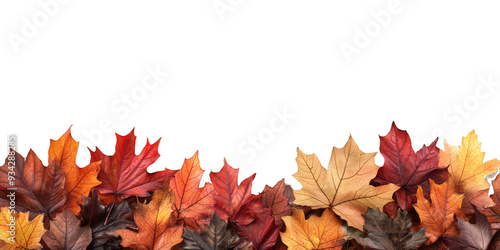 Feuilles d'Automne en Bas, Espace pour Texte