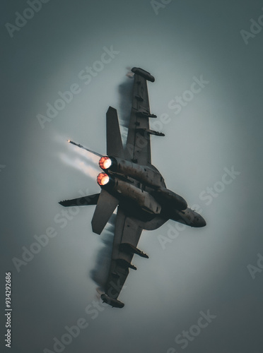F-18 Hornet