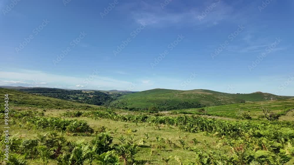 Dartmoor Devon England. 28.07.2024. Video. Driving across Dartmoor along country lane viewing beautiful countryside in summer. Dartmoor Devon England. 28.07.2024. Video. Driving across Dartmoor along country lane viewing beautiful countryside in summer.