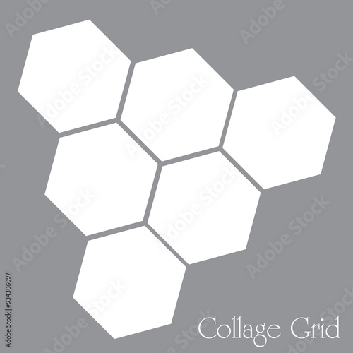 6 photo collage template. vector illustration, new collections