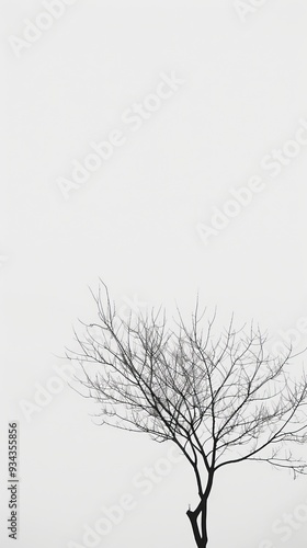 Wallpaper Mural Tree Silhouetted Against A White Sky Torontodigital.ca