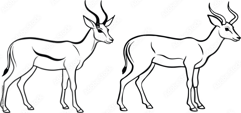 springbok vector art illustration vector illustration springbok vector art illustration vector illustration