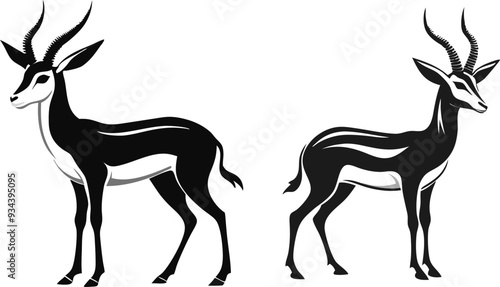 springbok vector art illustration vector illustration 