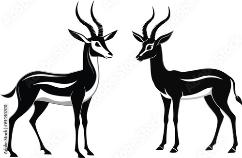 springbok vector art illustration vector illustration 
