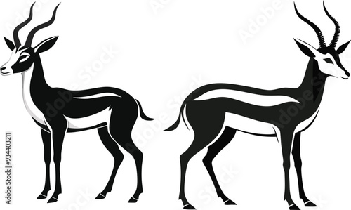springbok vector art illustration vector illustration 