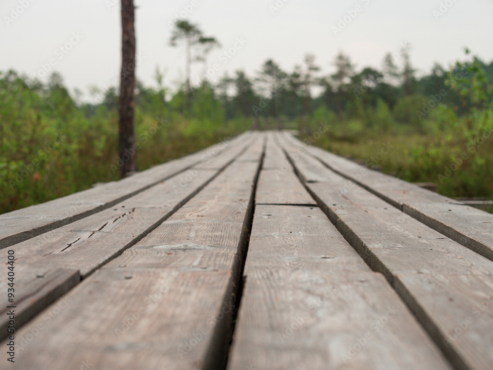 Wooden footpath in a forest park. The walk is long and narrow, with trees on either side. Scene is peaceful and serene. Outdoor walking area design to enjoy and preserve nature environment. Wooden footpath in a forest park. The walk is long and narrow, with trees on either side. Scene is peaceful and serene. Outdoor walking area design to enjoy and preserve nature environment.