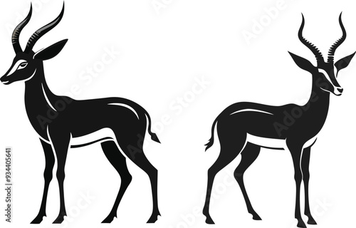 springbok vector art illustration vector illustration 